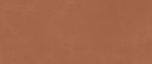 Prism Caramel 50x120