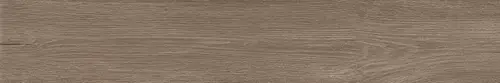 Керамогранит Atlas Concorde Fusion Oak 610010003140 Fusion Oak Rustic Grip / Фьюжн Оак Рустик Грип 20x120