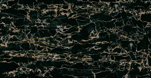 Preziosi Portoro Lappato Rettificato 120x240