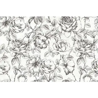 Axima Мерида D 20x30