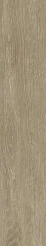 Керамогранит Legno Natural 20x120 матовый напольный