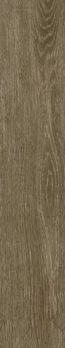 Керамогранит Legno Antico 20x120 матовый напольный