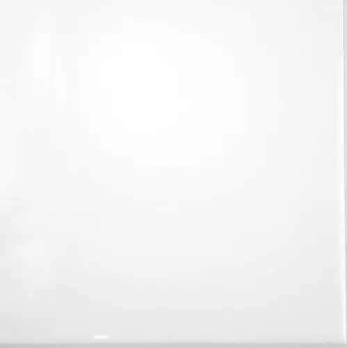 Bardelli Bianco e Nero (Bianco Extra 20) 20x20