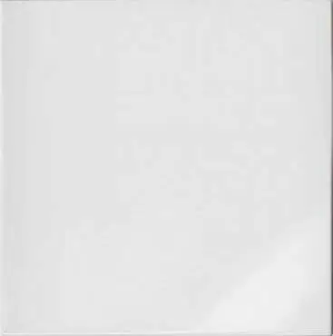 Bardelli Bianco e Nero (Bianco Extra 40) 40x40