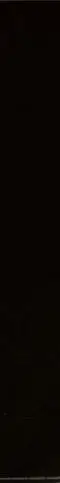 Bardelli Bianco e Nero (Nero Extra 5X40 MQ) 5x40