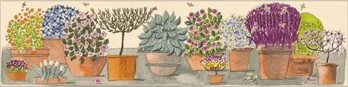 Bardelli Mary Ann (MaryAnn4A1) 10x40