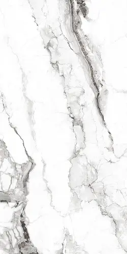 Керамогранит BHW-0002 Capolavoro Polished (Sinking Ink) 600х1200x8