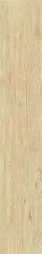 Керамогранит ZC 1223096 rect. 20х120