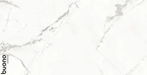 Marble Statuario Alba 60x120