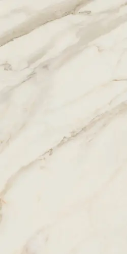 Anima Futura Golden White 60x120