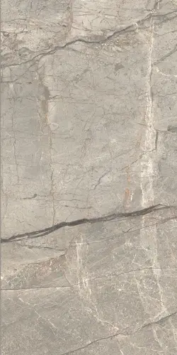 Anima Futura Amazing Silver 60x120