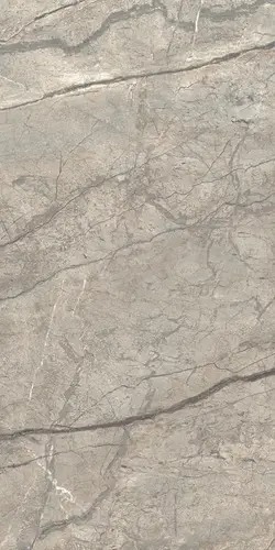 Anima Futura Amazing Silver Luc 60x120