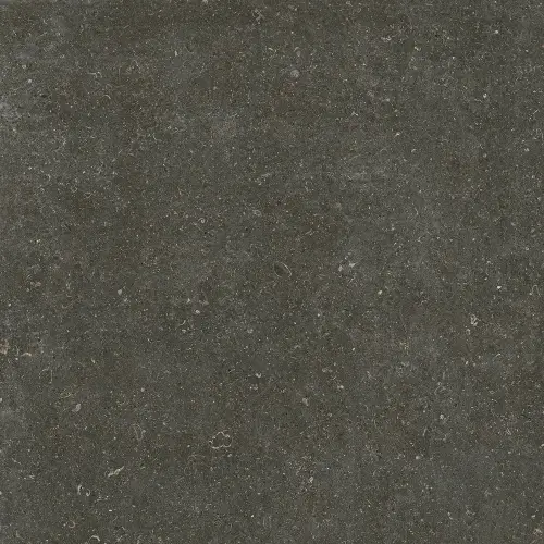 Керамогранит 785581 Rinascenza Arena Platino Matte 6mm 120х120
