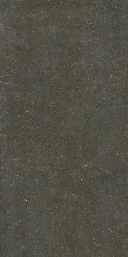 Керамогранит 785585 Rinascenza Arena Platino Matte 6mm 120х240