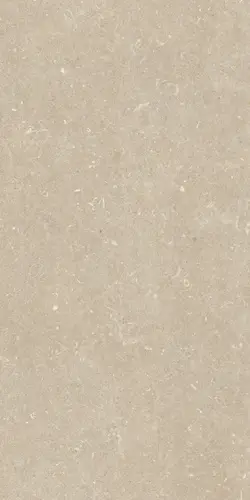 Керамогранит 785481 Rinascenza Arena Conchiglia Matte 60х120