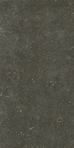Керамогранит 785577 Rinascenza Arena Platino Matte 6mm 60х120