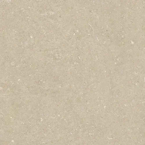 Керамогранит 785485 Rinascenza Arena Conchiglia Matte 60х60