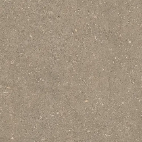 Керамогранит 785486 Rinascenza Arena Pietra Matte 60х60