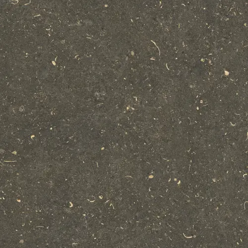 Керамогранит 785487 Rinascenza Arena Platino Matte 60х60