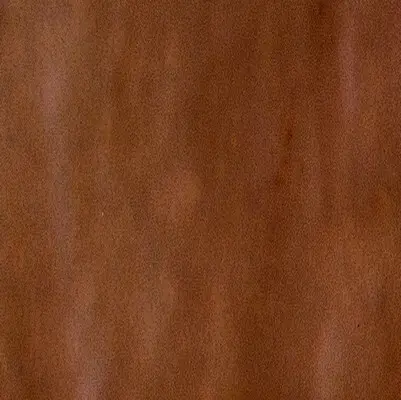 SENSI COLORE MARRONE GLOSSY 11,6х11,6