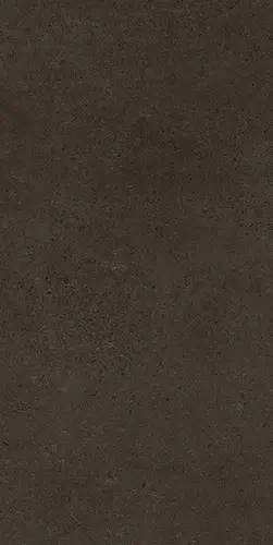 SENSI TERRE CARBONE NATURALE TAVELLA 15х30