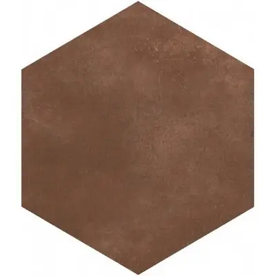 SENSI TERRE AMARANTO NATURALE ESAGONO 22х20