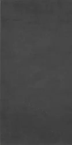 Керамогранит Casalgrande Padana 1640116 Beton Dark 75.5х151