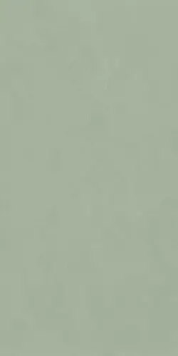 POLICROMA LICHENE MAT 6MM RET (764046) Керамогранит 120х240