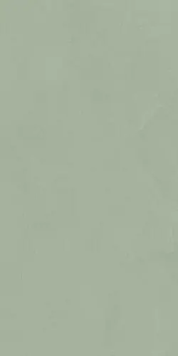 POLICROMA LICHENE MAT 6MM RET (764064) Керамогранит 60х120