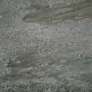 Forest 80х80