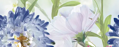 Ceradim Jardin Dec Panno A 20x50