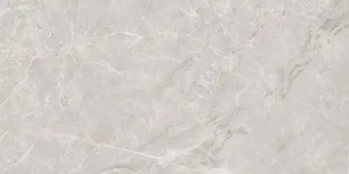 Mramor Princess Grey Керамогранит серый 60х120 Полированный