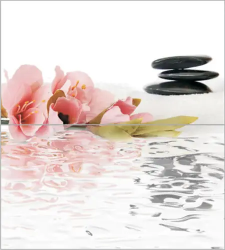 Ceradim Spa Dec Panno из 2-х шт) 45x50