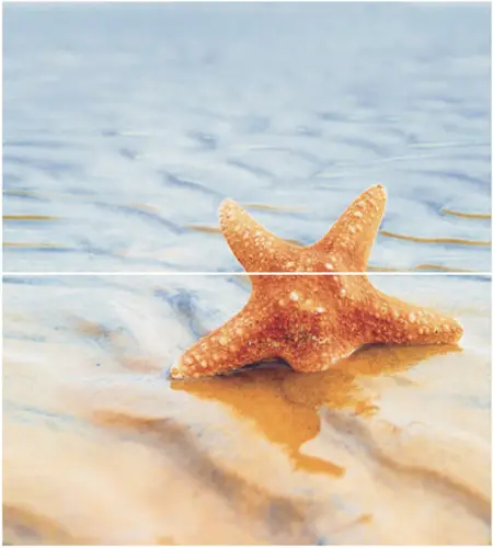Ceradim Starfish Dec 1 Panno из 2-х шт) 45x50