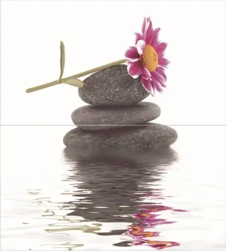 Ceradim Stones из 2-х шт) 45x50
