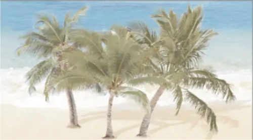 Ceradim Tropic Dec 3 25x45