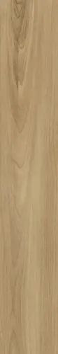 Керамогранит Dreamwood Rett 20x120 матовый