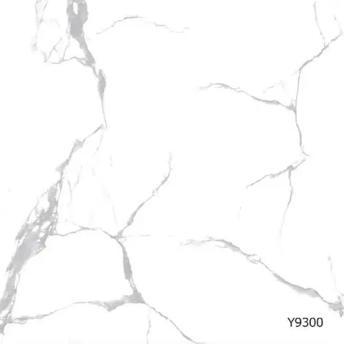 Керамогранит CSG Глянцевый 80x80 Y9300
