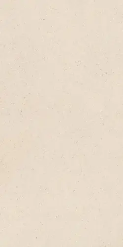 Cohesa Sabbia Matt 60x120 RT
