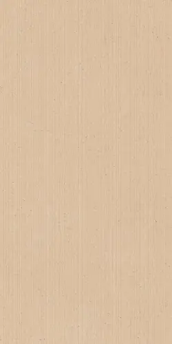 Cohesa Tracce Ocra Matt 60x120 RT