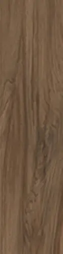 Cerdomus Savanna Cinnamon 10x100