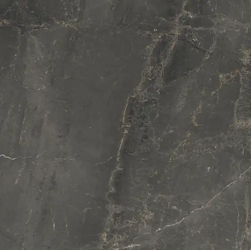 Cerdomus Sybil Black Pol. 60x60