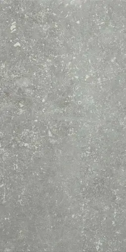 Керамогранит Ardenne Grigio 20x40 Serenissima and Cir Di Pietra матовый напольный