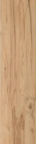 Rovere Antico 10x40