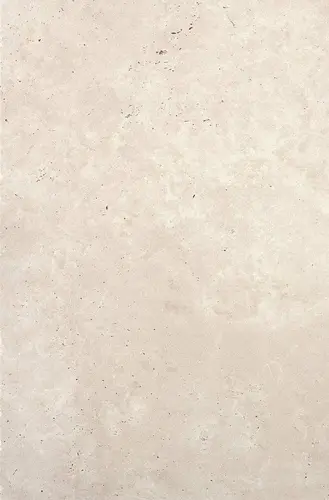 Керамогранит Travertino Navona Serenissima and Cir 40х60.8 матовый