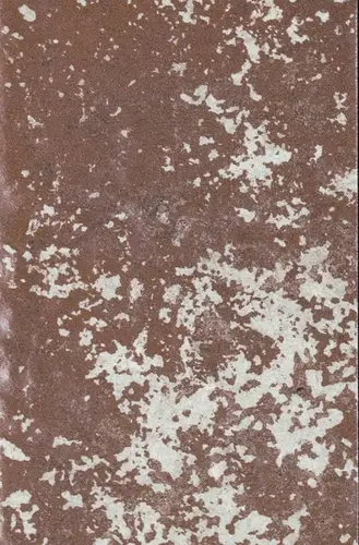 Керамогранит Rosso D"Amante Serenissima and Cir 40х60.8 матовый