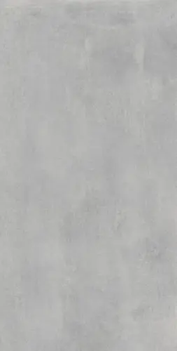 610010002740 Астро Сильвер 60X120 Рет