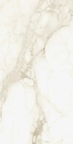 610010002745 Микеланджело Ворм 60X120 Рет