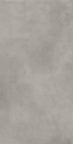 610010002758 Сан-Сиро Грэй 60X120 Рет