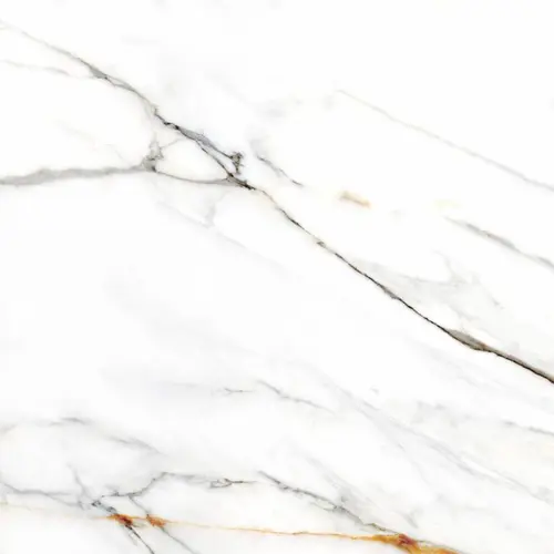 Calacatta Gold White 120x120